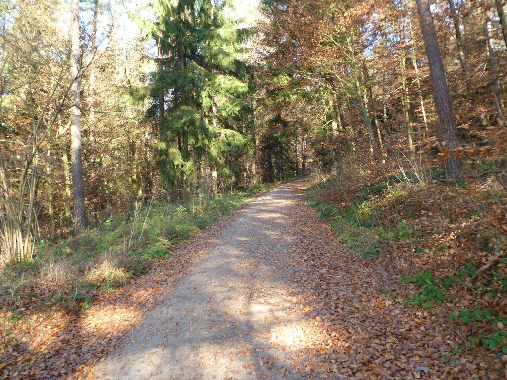 Blockhaus Bayerischer Wald Stamsried Exterior photo