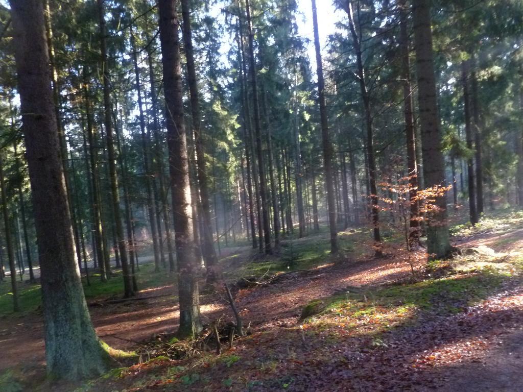 Blockhaus Bayerischer Wald Stamsried Exterior photo