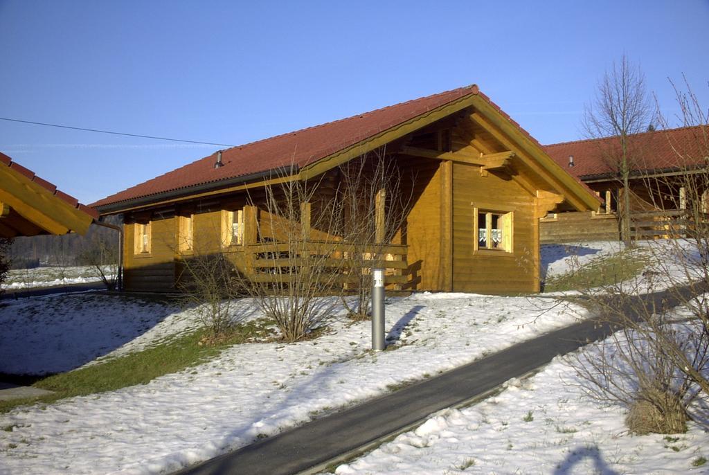 Blockhaus Bayerischer Wald Stamsried Exterior photo